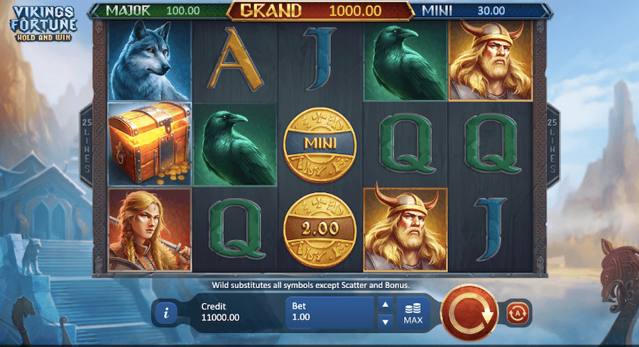 Vikings Fortune Slot